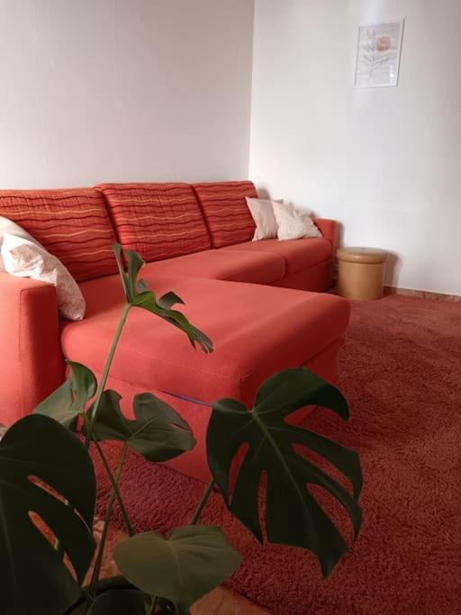 Forti Genova-Free Parking Castellaccio Apartment Dış mekan fotoğraf